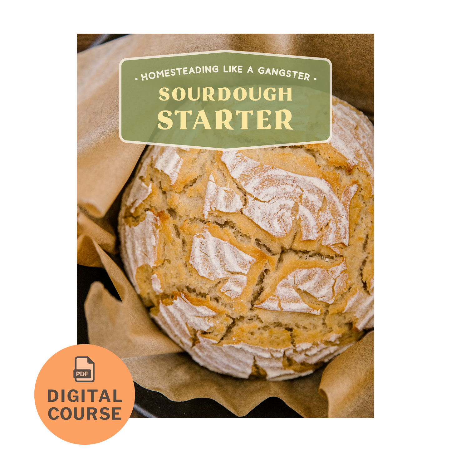 Sourdough Starter