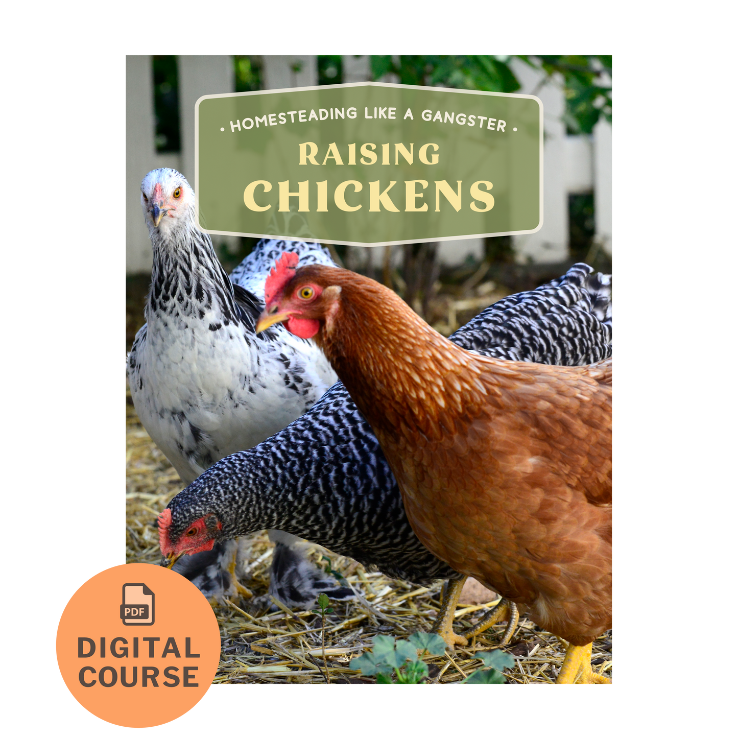 Digital Course on Raising Chickens