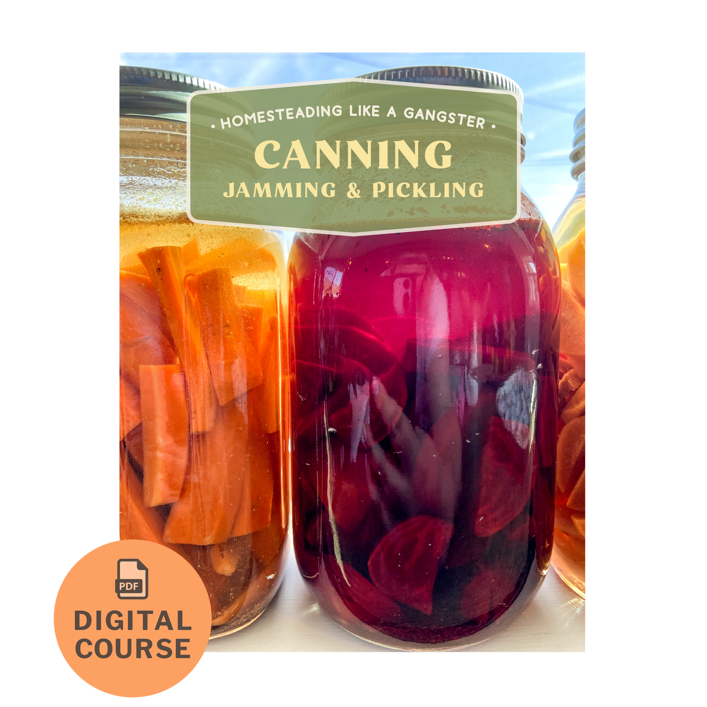 Canning, Jamming, and Pickling