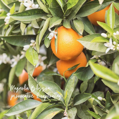 Magnolia Mint Hand Soap: Wild Mint, Orange Blossom, Eucalyptus, Lemon, Mint + Tomato Leaf Scented