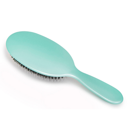 Ice Blue Hairbrush