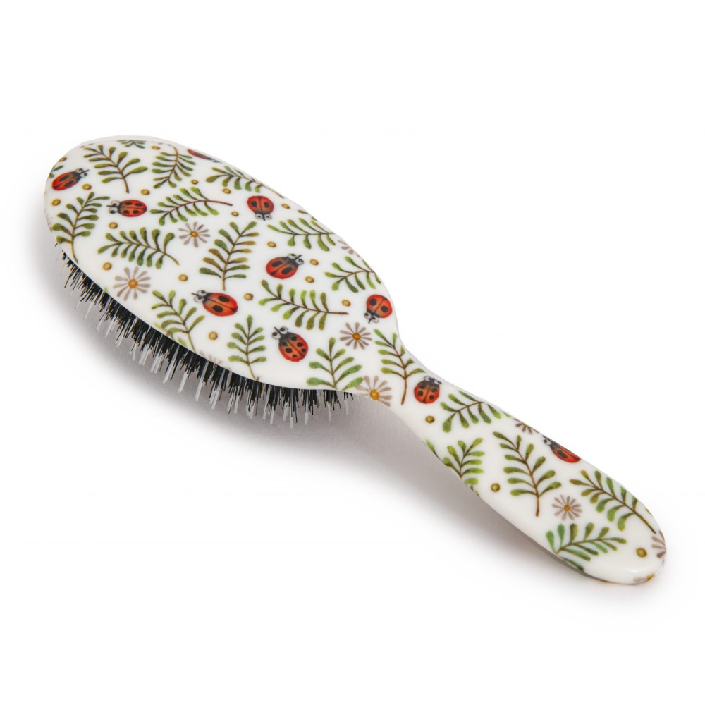 Ladybirds Hairbrush