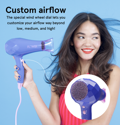 Ionic Pro Dryer