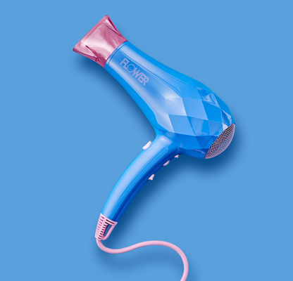 Ionic Pro Dryer