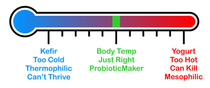 Probiotic Maker In-Bottle Yogurt/Kefir/Protein Shake Maker