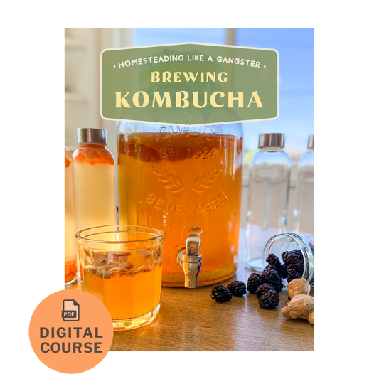 Brewing Kombucha