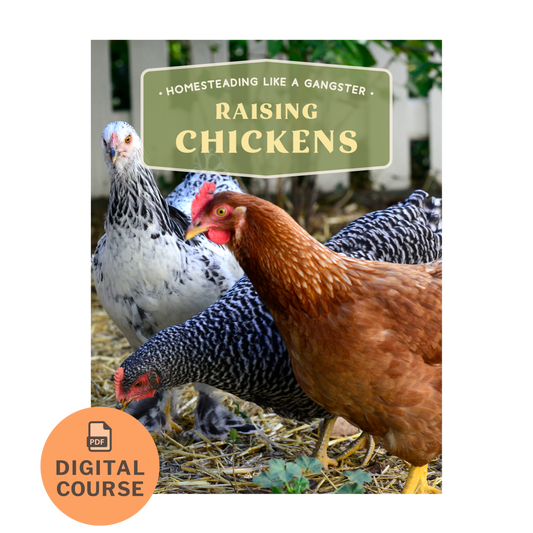 Digital Course on Raising Chickens