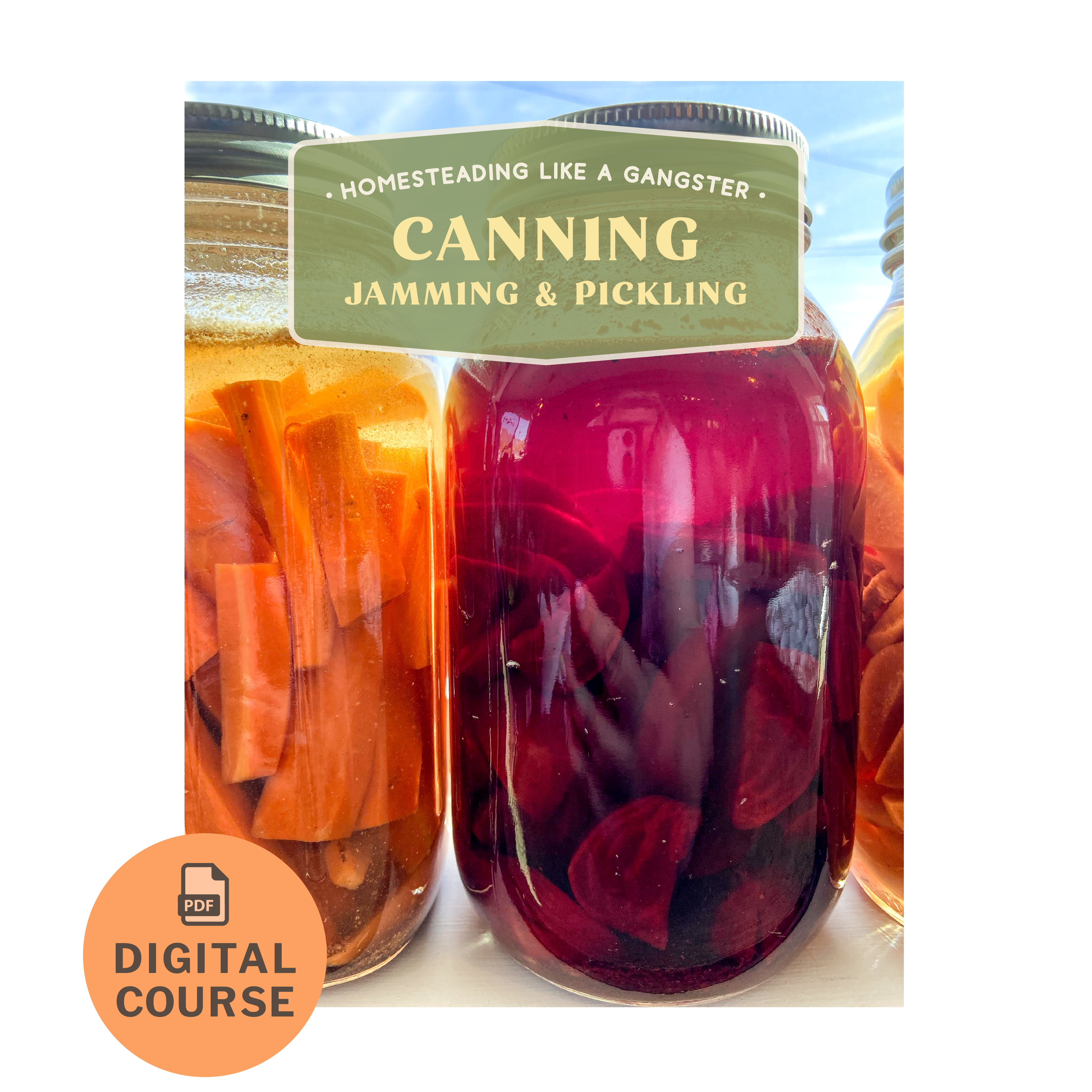 Canning, Jamming, and Pickling