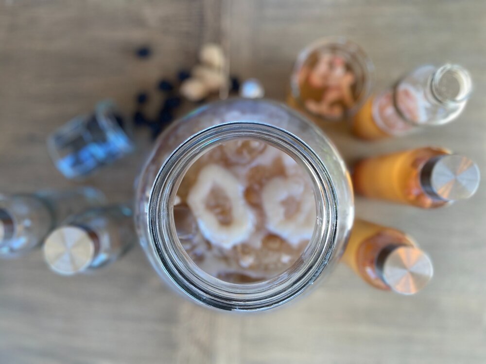 Brewing Kombucha