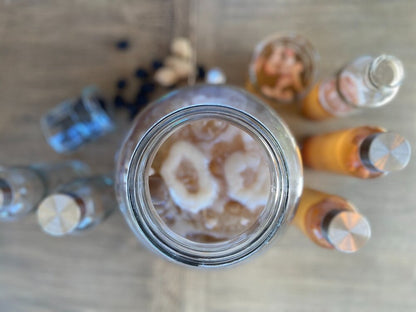 Brewing Kombucha