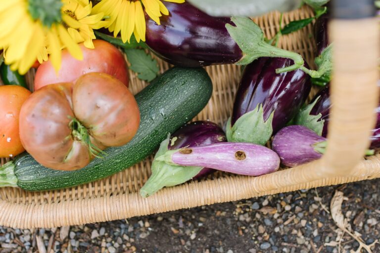 Our Favorites For Our Garden