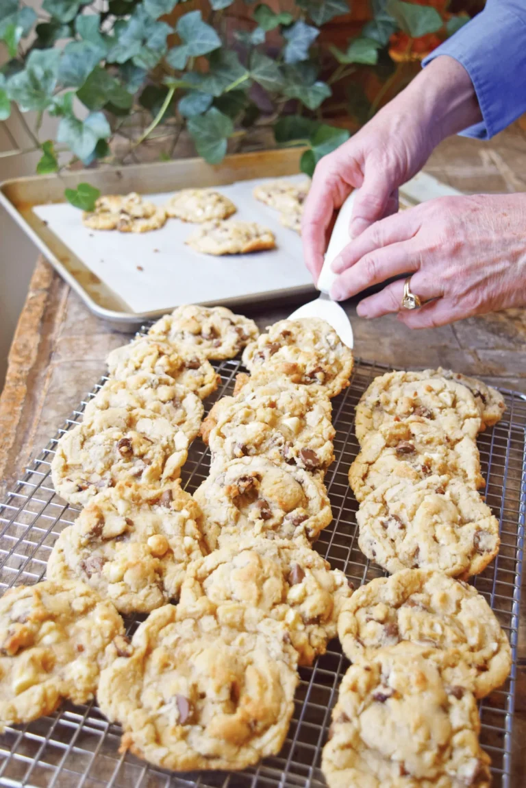 Jane’s Life Altering Chocolate Chip Cookies