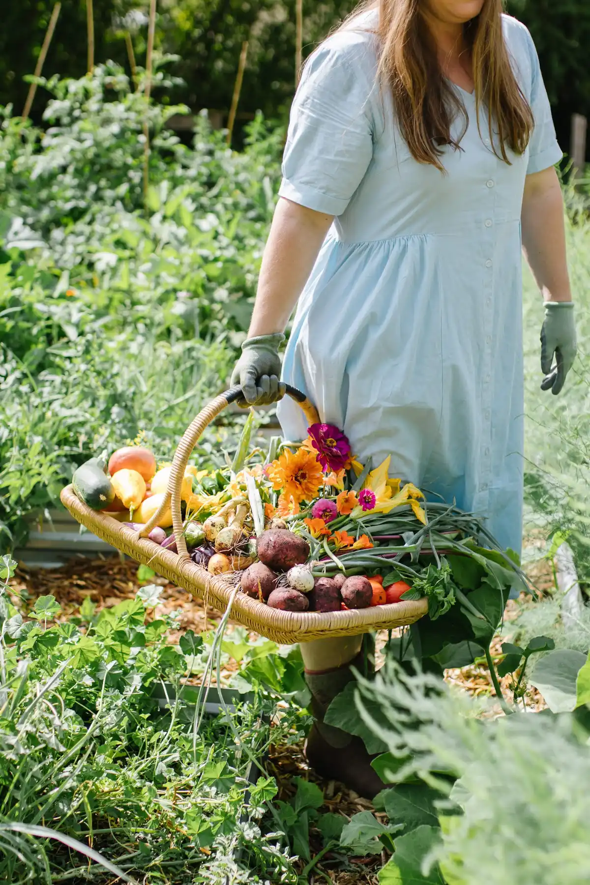 Homesteading